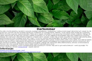 Dartommar - Wypożyczalnia samochodów Bełchatów