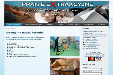 Piotr Grzegrzółka Pranie Extrakcyjne - Czyszczenie Tapicerki Samochodowej Iława