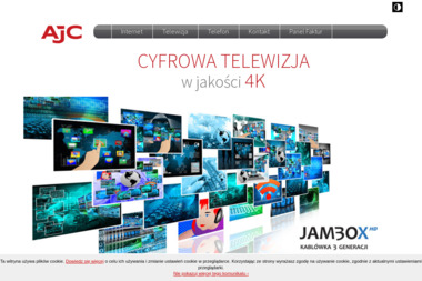 AJC - Opieka Informatyczna Bielsko-Biała