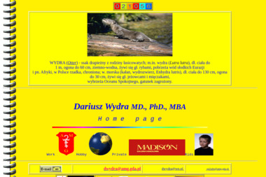 Indywidualna Specjalistyczna Praktyka Lekarska dr n. med. Dariusz Wydra - Gabinet Ginekologiczny Gdańsk