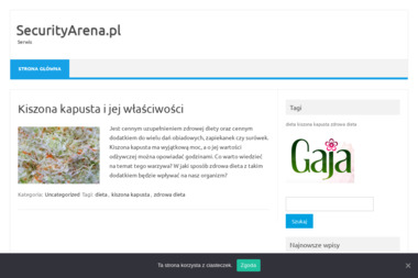 Securityarena.pl - sprzęt IT, monitoring, elektronika - Solidny Montaż Systemów Alarmowych Busko-Zdrój