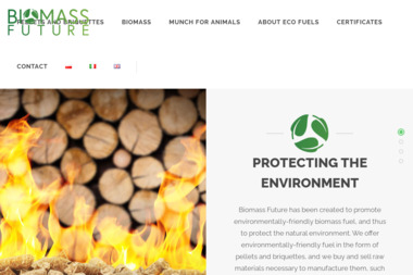 Biomass Future - Pellet Kwilcz