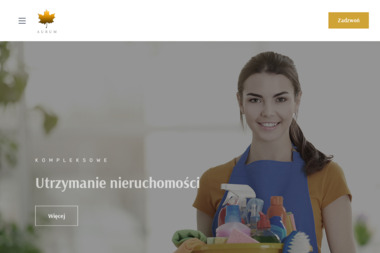 Mycie elewacji Żagań