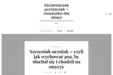 Nt-pro - Agencja rekrutacyjna Warszawa