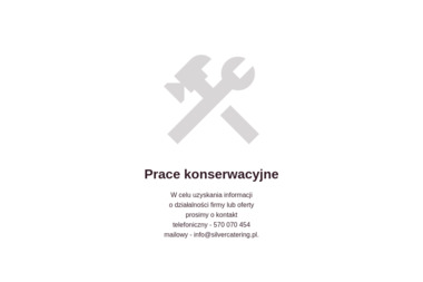 Silver Catering - Catering świąteczny Łódź