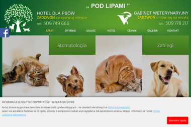 Gabinet Weterynaryjny Pod Lipami - Usługi Weterynaryjne Nowa Dęba