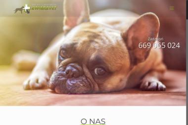 Przychodnia Weterynaryjna Zwierzvet - Usługi Weterynaryjne Zwierzyniec