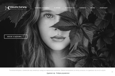 Klaudia Harwig - Grafik, Fotograf - Sesja Zdjęciowa Dzieci Będzin