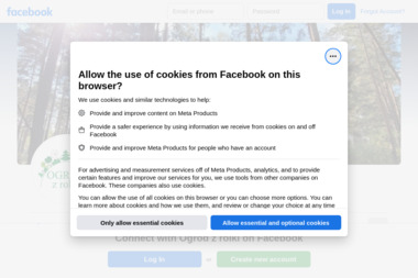 KRZYSZTOF ŁAZICKI - Artystyczny Ogród - Zakładanie ogrodów Warszawa