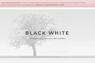 BLACK WHITE - Kampania Mailingowa Poznań