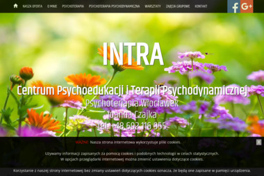 Centrum Psychoedukacji i Terapii Psychodynamicznej INTRA - Psychoterapia Włocławek
