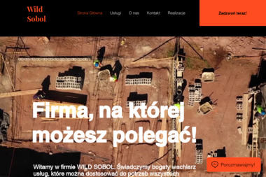 Wild Sobol - Najwyższej Klasy Wyburzanie Ścian w Pruszkowie