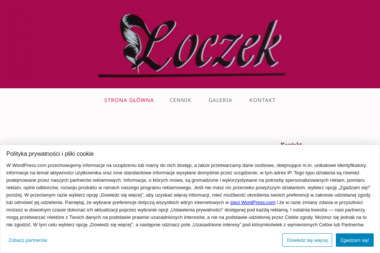 Salon Fryzjerski Loczek - Strzyżenie Sosnowiec