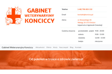 Weterynaria Konciccy - Gabinet Weterynaryjny Olsztyn