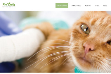 Przychodnia Weterynaryjna "Pod Żabką" - Leczenie Zwierząt Łódź