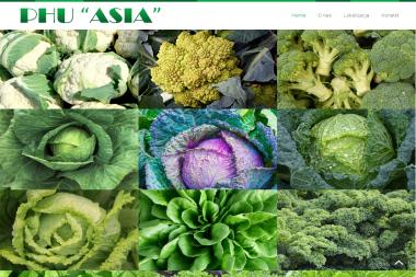 PHU "ASIA" - Warzywa Bydgoszcz
