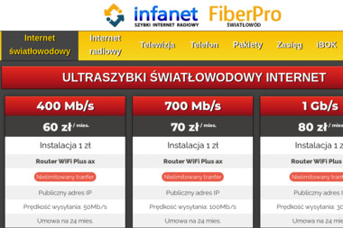 InfaNET - Firma IT Wiśniowa