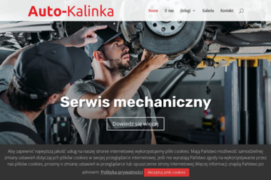 Auto-Kalinka - Auto-serwis Elbląg