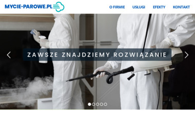 Eko-Lux - Mycie Dachów Poznań