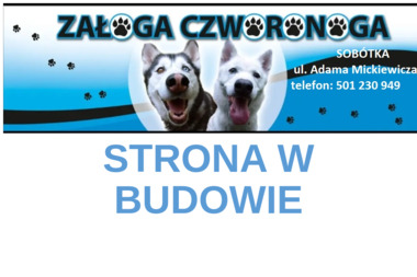 Załoga Czworonoga - Lecznica Dla Zwierząt Sobótka