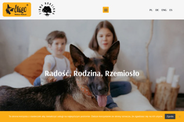 Dingo - Zoologiczne Bydgoszcz