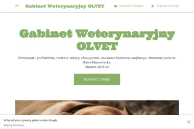 Gabinet Weterynaryjny OLVET - Leczenie Zwierząt Rawa Mazowiecka