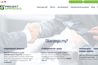 Projekt Sprzedaż - Usługi Marketingowe Starachowice