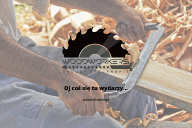 WoodWorkers - Dobra Firma Malująca Dachy Sanok