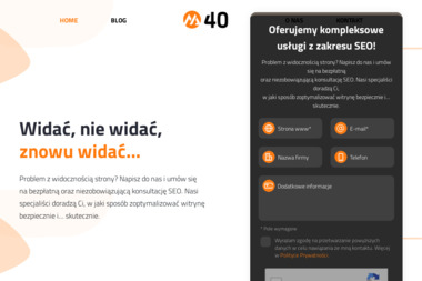 M40.pl Agencja Interaktywna - Strony internetowe Plewiska