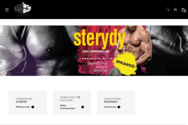 Sklep internetowy SterydyNet.pl - Projekty Sklepu Internetowego Wałbrzych