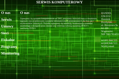 Handel Usługi Dominik Przybylski - Obsługa IT Wągrowiec