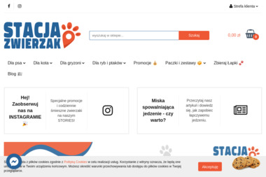 Piotr Grotkowski Sylveon Company STACJA ZWIERZAK - Projekty Stron Internetowych Warszawa