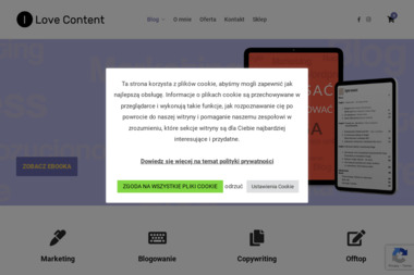 J&J Studio Reklamy i Marketingu Spólka z O. o - Copywriter Poznań