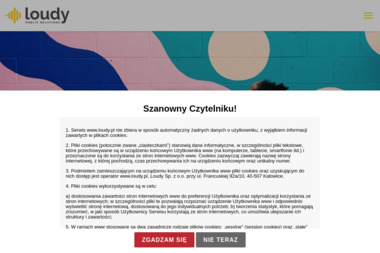 Loudy - Kampania Reklamowa w Internecie Katowice