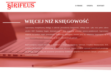 STRIFEUS Sp. z o.o. - Sprawozdania Finansowe Chełm