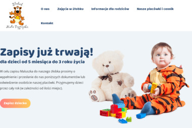 Żłobek Prywatny ,, Małe Tygryski” - Żłobek Dla Dzieci Kraków
