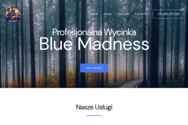 Blue Madness Adam Wojtaś - Najwyższej Klasy Zakładanie Trawników Wrocław