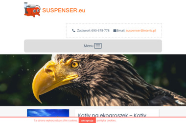 Suspenser.eu Grzegorz Kaliciak - Wysokiej Jakości Kotły