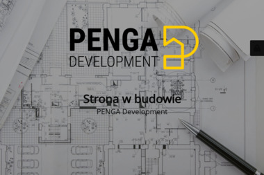 PENGA Development Sp. z o.o. - Dobre Drzwi Klasyczne Poznań