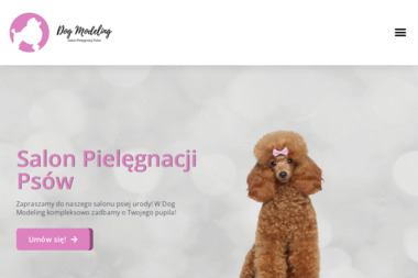 Salon Pielęgnacji Psów Dog Modeling - Dog Walker Gdańsk