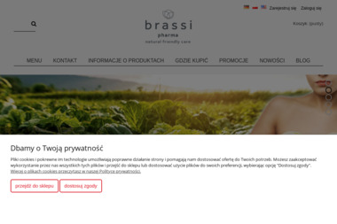 Brassitech Sp. z o.o. - Tworzenie Sklepów Internetowych Góra Kalwaria