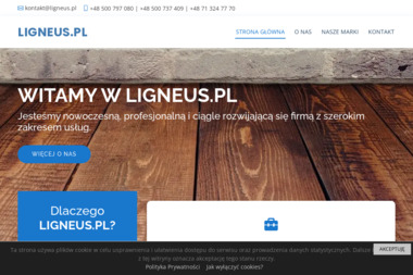 LIGNEUS.PL - Pierwszorzędny Fundament w Środzie Śląskiej